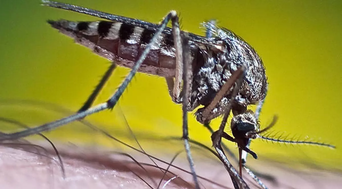 Boli cu transmitere sexuală care nu se iau doar prin transmitere sexuală 