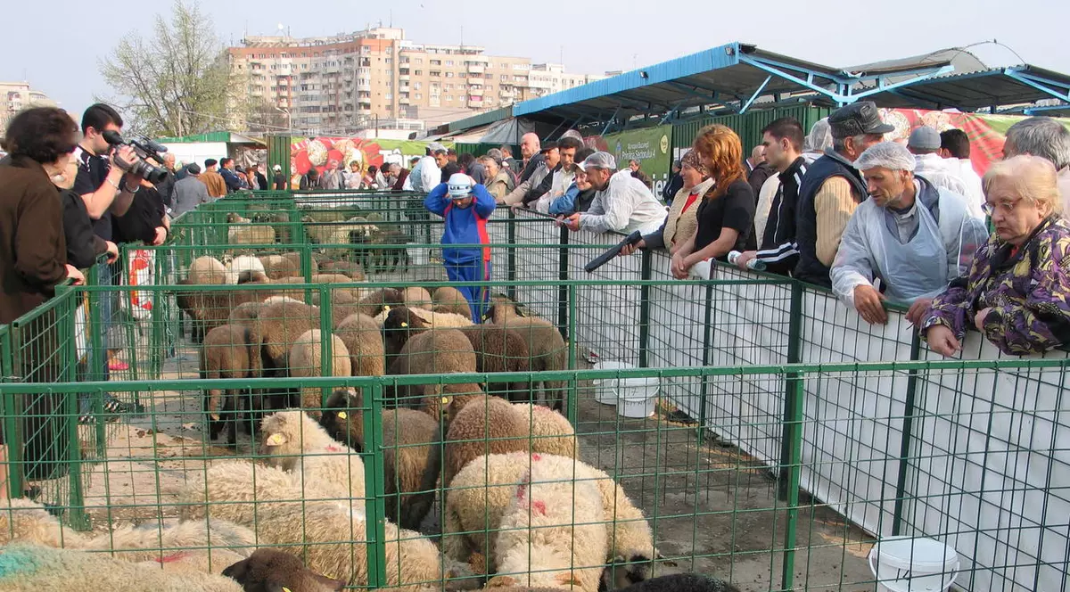 Vrei miel de Paşte? Luni se deschide singurul târg de miei vii din Bucureşti