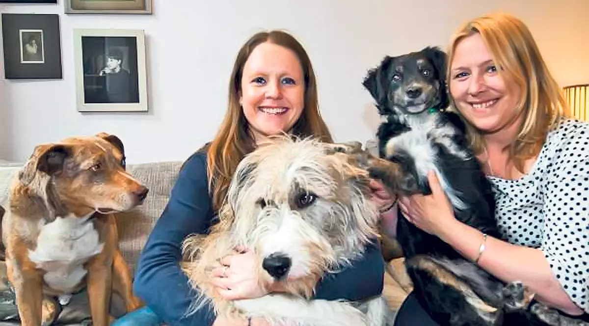 Gest impresionant făcut de două britanice! Au salvat de la moarte 200 de câini din România