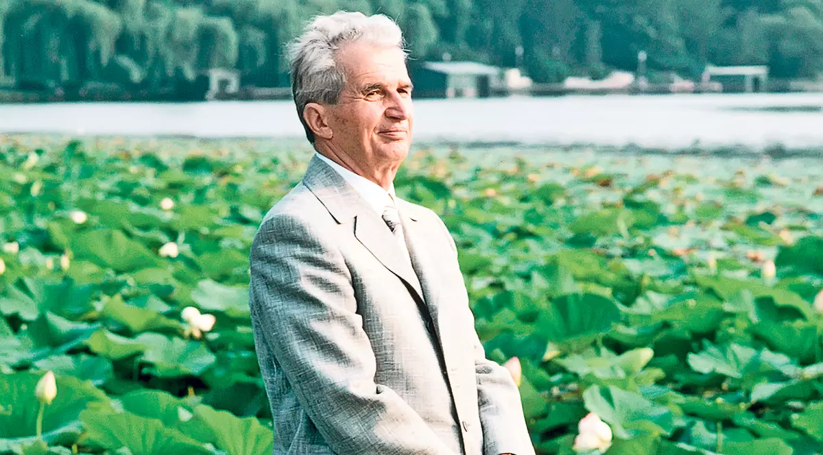 EXCLUSIV | «Ilicitul» dă lovitura la ciupercărie! Nepotul lui Ceaușescu, evaziune fiscală la Scornicești