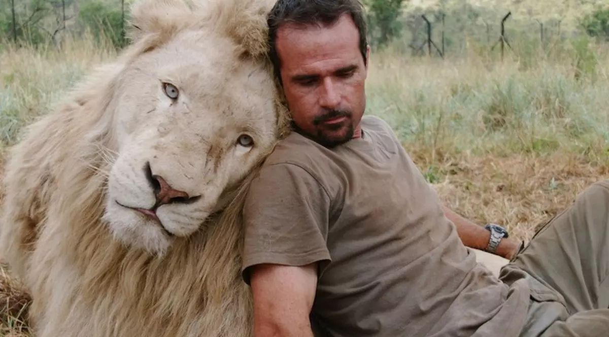 Joc de fotbal EXTREM! Ai curaj să driblezi o familie de lei? Kevin Richardson o face!