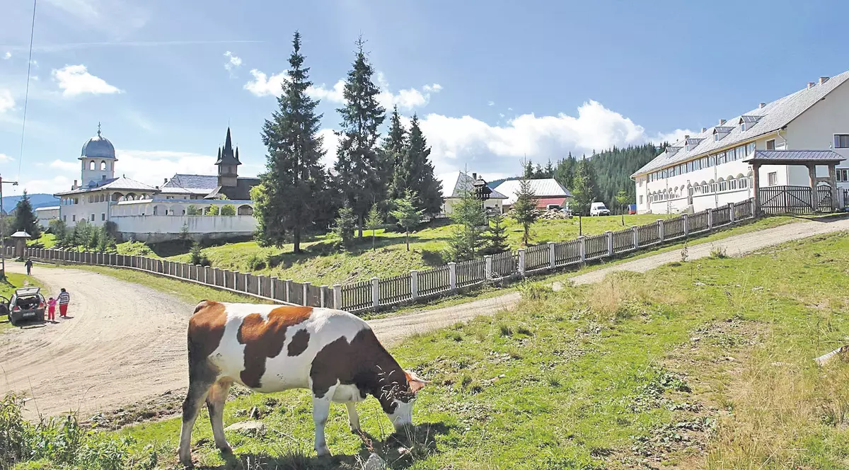 Vacanță la țară cu 150 de lei/6 zile