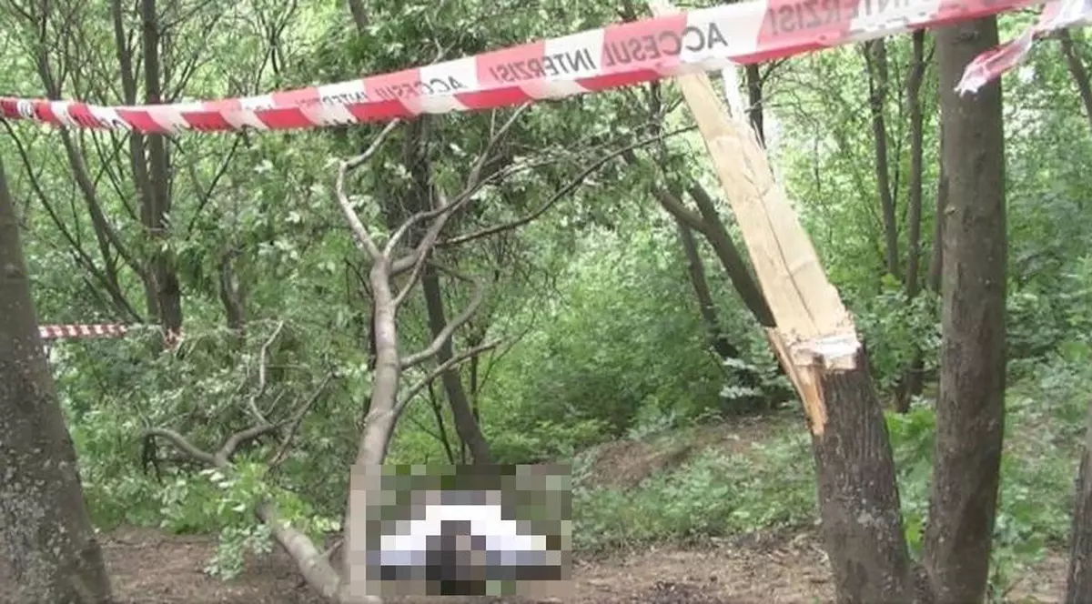 Un cadavru fără mâini şi picioare, descoperit într-o pădure din Timiş