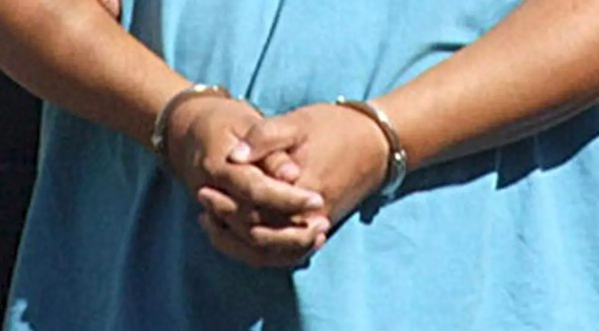 Avocata plătea gardienii să-i ducă telefoane iubitului aflat la pușcărie! DNA le-a stricat planurile