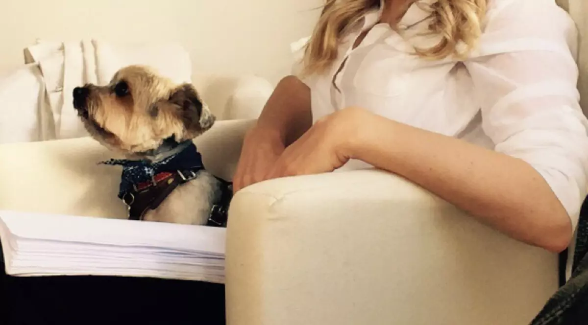 Laura Cosoi dă din casă: ”Așa arată pregătirile pentru Nunta perfectă”