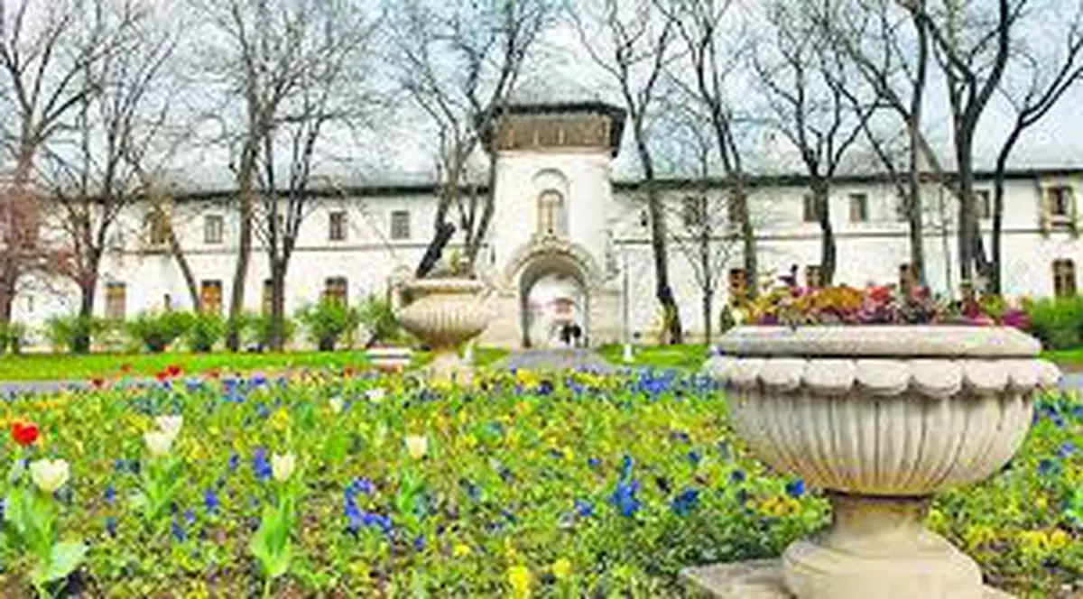 PSD şi-a conservat bine procentele electorale, scandalul Dragnea-Grindeanu neafectând scorul partidului, potrivit unui sondaj Avangarde, casă de cercetare apropiată social-democraţilor.