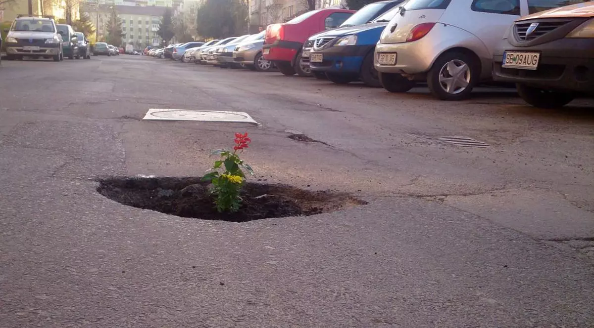 A semnalizat gropile din asfalt cu flori