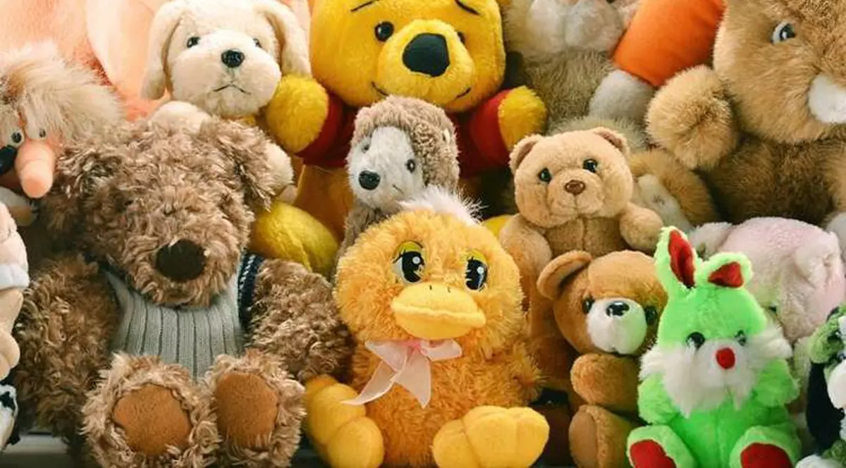 Au furat jucăriile din grădiniță! Hoții au fost prinși