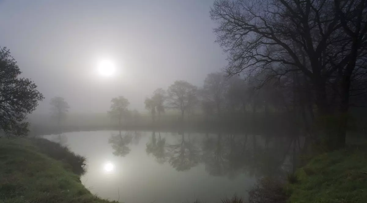 Descoperire incredibilă la Satu Mare! Mormântul unei vrăjitoare ”deranjat” de drumari