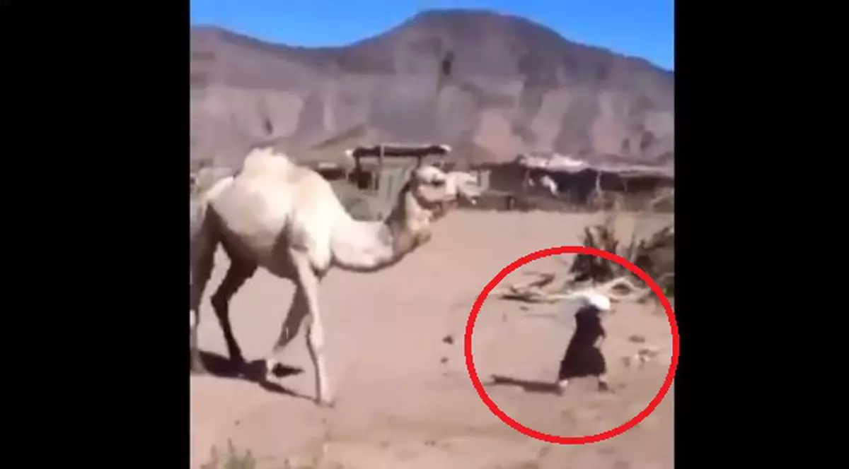 A filmat MOARTEA PROPRIULUI COPIL! Ceea ce părea o joacă, s-a transformat în TRAGEDIE! | VIDEO INCREDIBIL