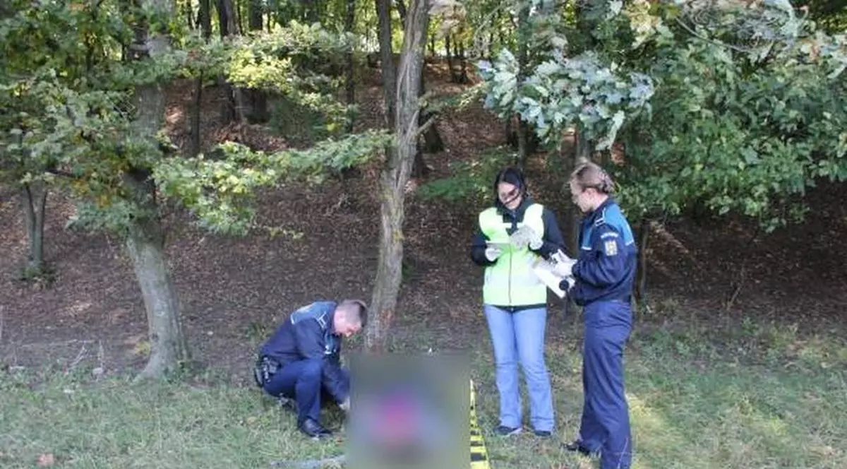 O fată de 13 ani din Vrancea, găsită spânzurată cu o eșarfă de un pom