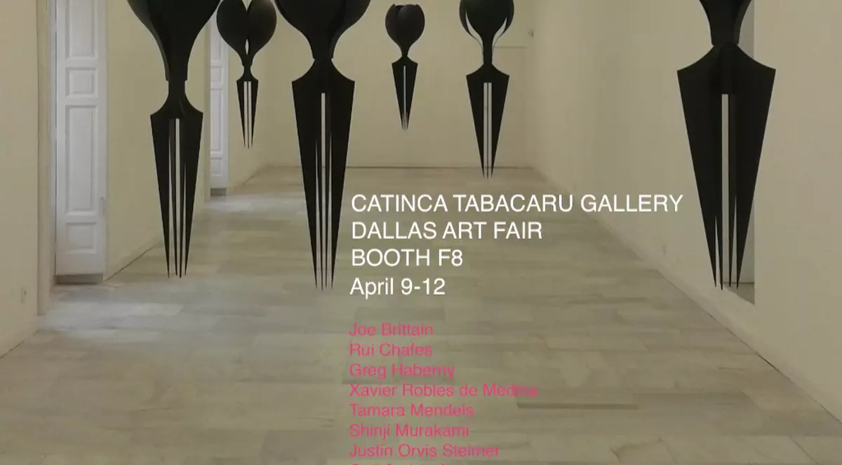 O artistă de origine română va expune la unul dintre cele mai importante târguri de artă din America!