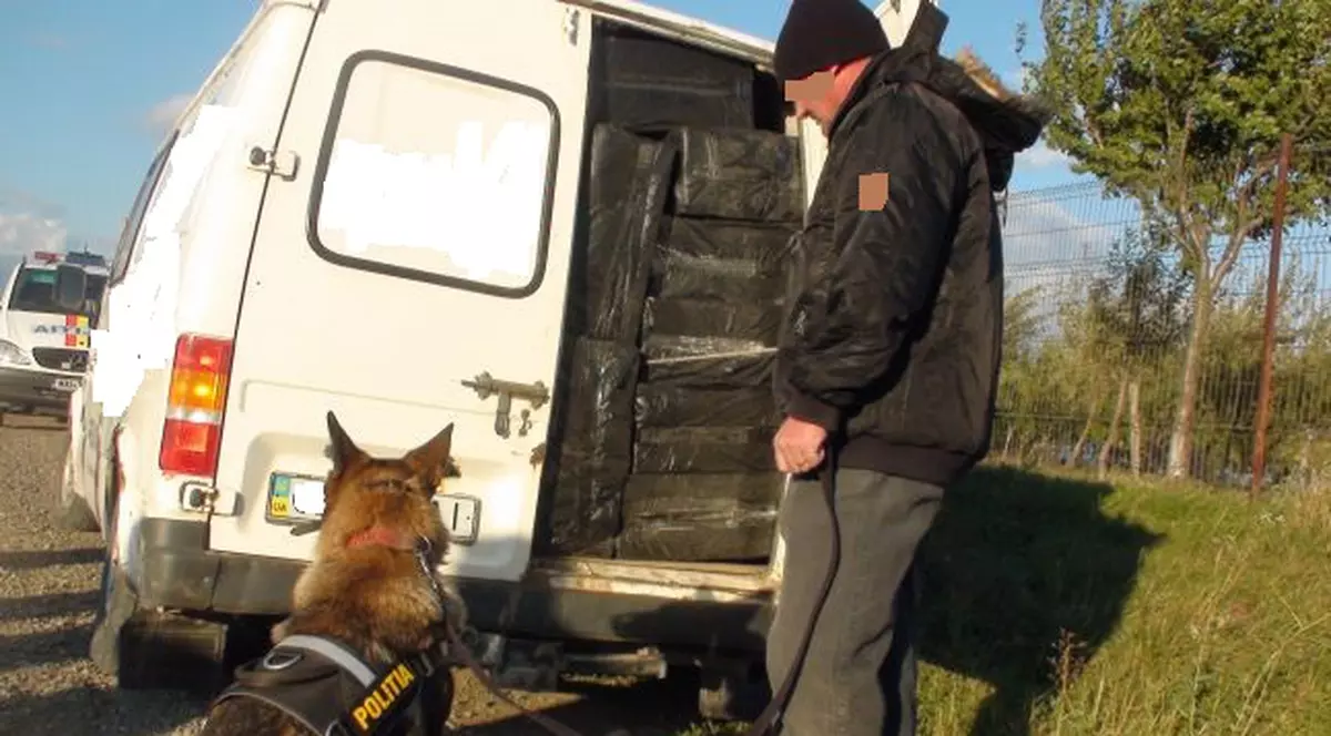 BELLA le mai dă o LOVITURĂ contrabandiștilor. Zeci de mii de ţigări de contrabandă au fost capturate