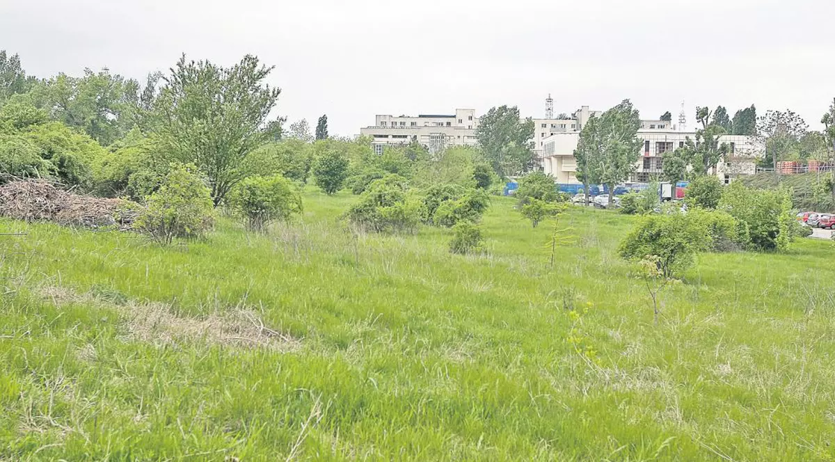 EXCLUSIV | Arest de cinci stele în Bucureşti