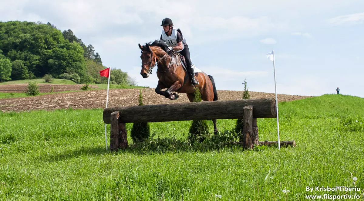 Tineri călăreți de top din întreaga lume vor veni weekendul acesta la Transylvania Horse Show 2015 pentru a se întrece pe cai românești