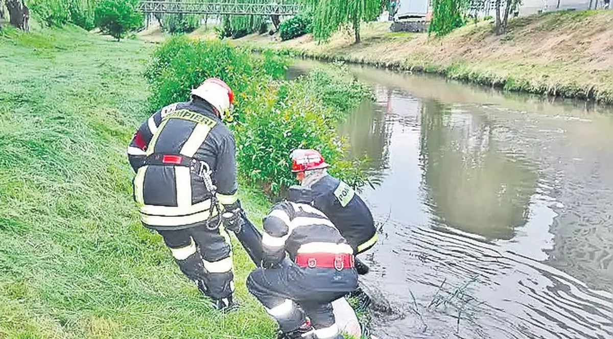 Descoperire şocantă în Sibiu: Un bărbat plutea pe râul Cibin