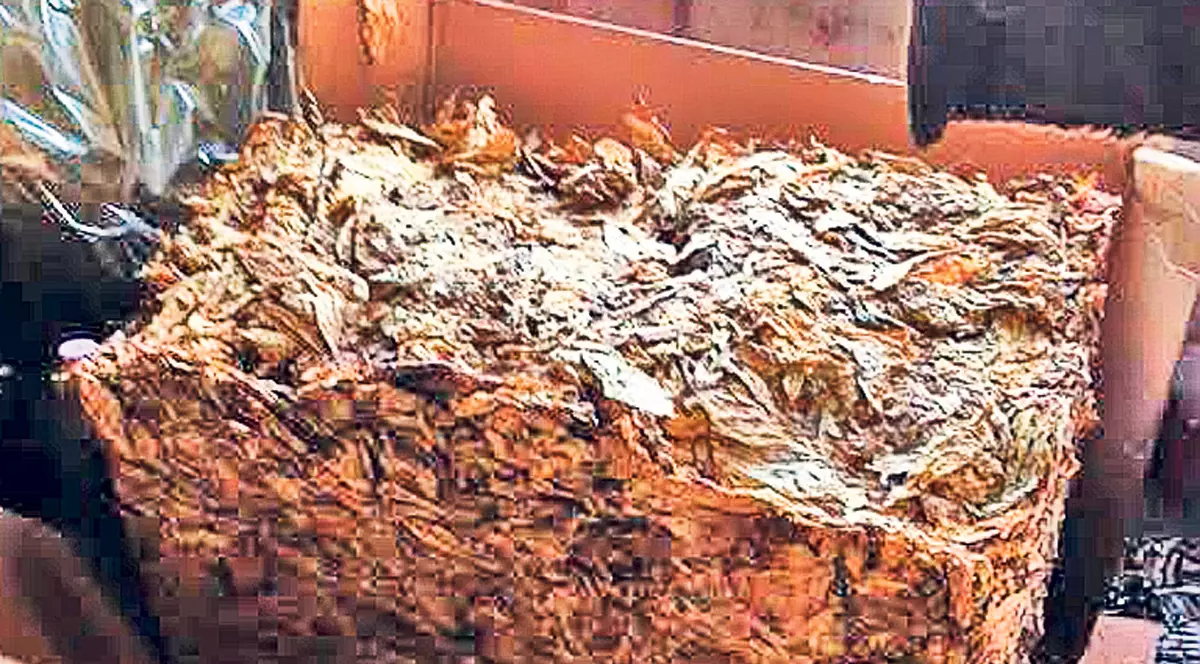 Contrabandişti de tutun «vânaţi» pe internet