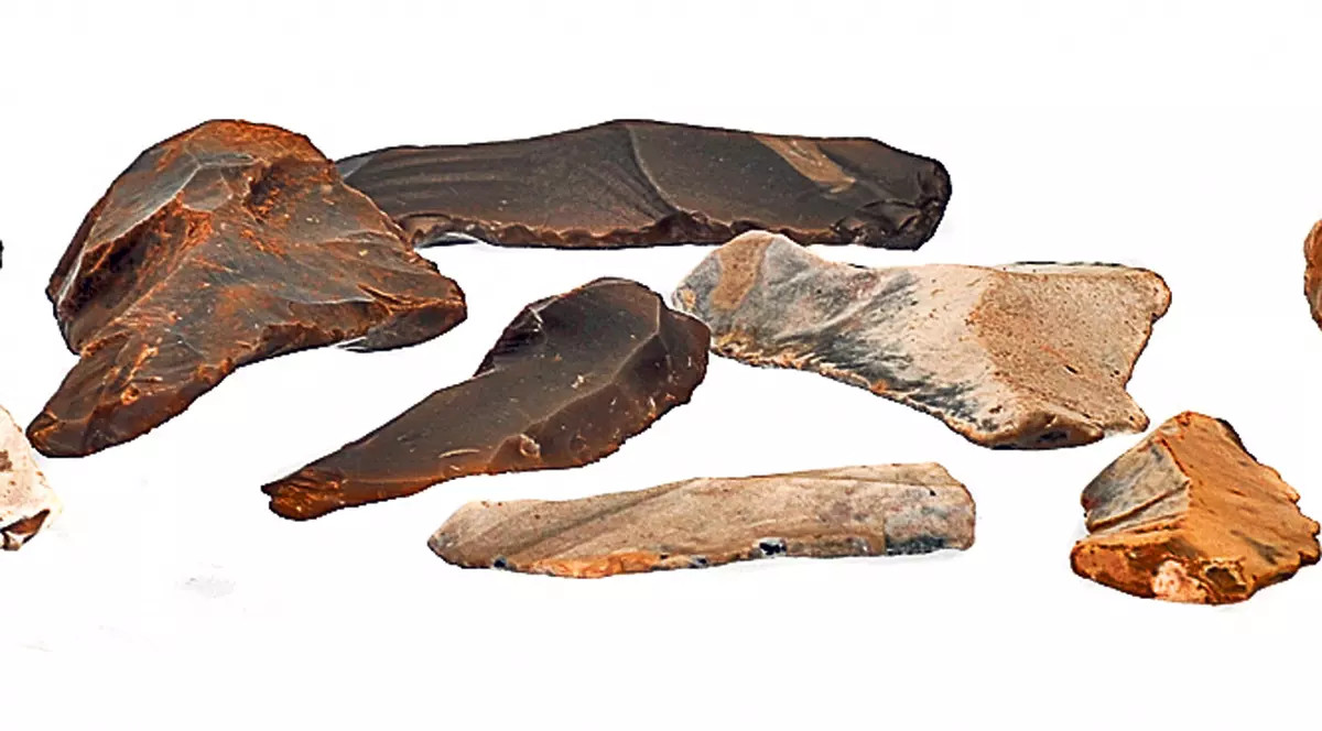 Arheologii au găsit unelte vechi de 3,3 milioane de ani