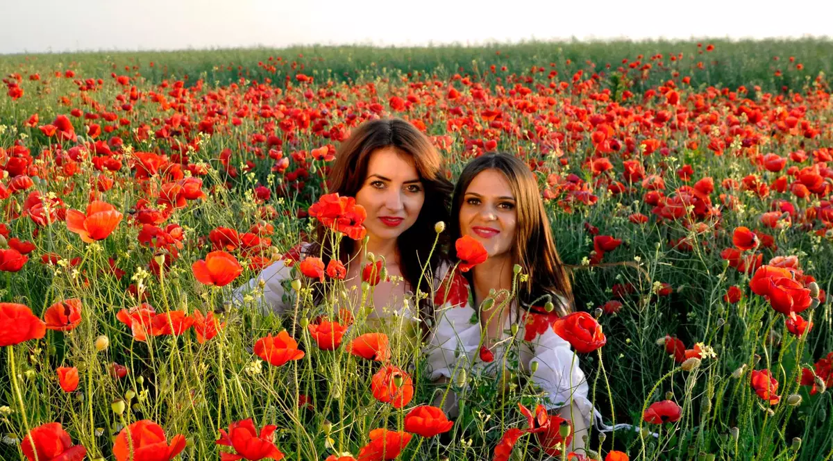 Au oprit mașina pe câmp să culeagă maci!