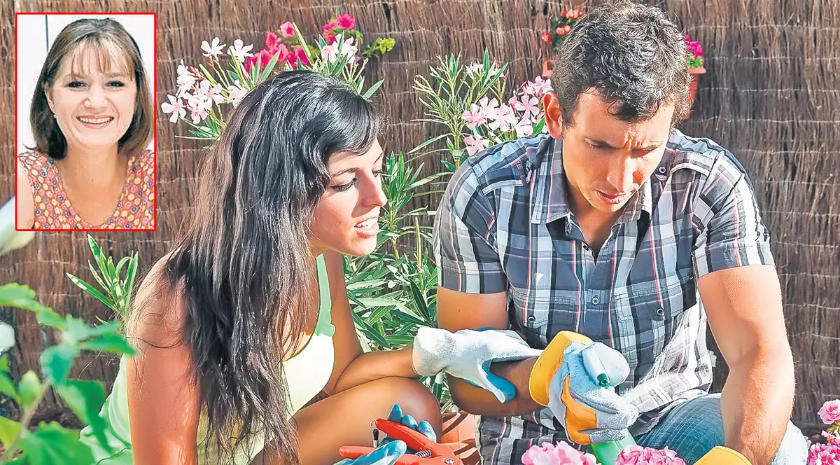 Atac la plantele tale! Cum le salvezi de dăunătorii care le năpădesc vara