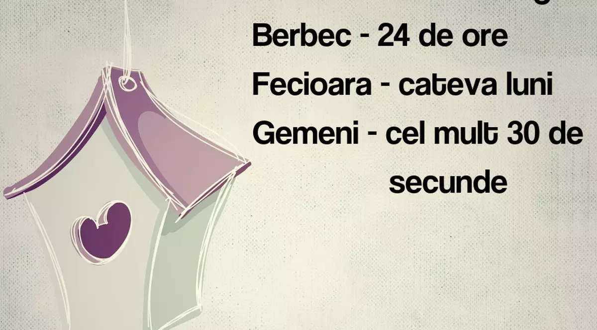 Cât timp rămân îndrăgostite zodiile