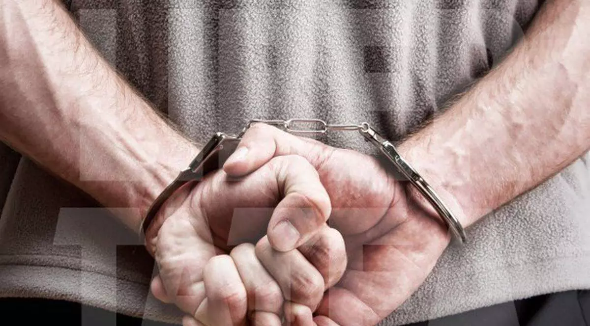 A vrut să-și violeze sora într-un parc din Grenoble! Un român de 17 ani, arestat în Franța, pentru agresiune sexuală