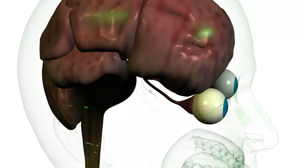 Ce să faci pentru a preveni ÎMBĂTRÂNIREA PREMATURĂ a CREIERULUI