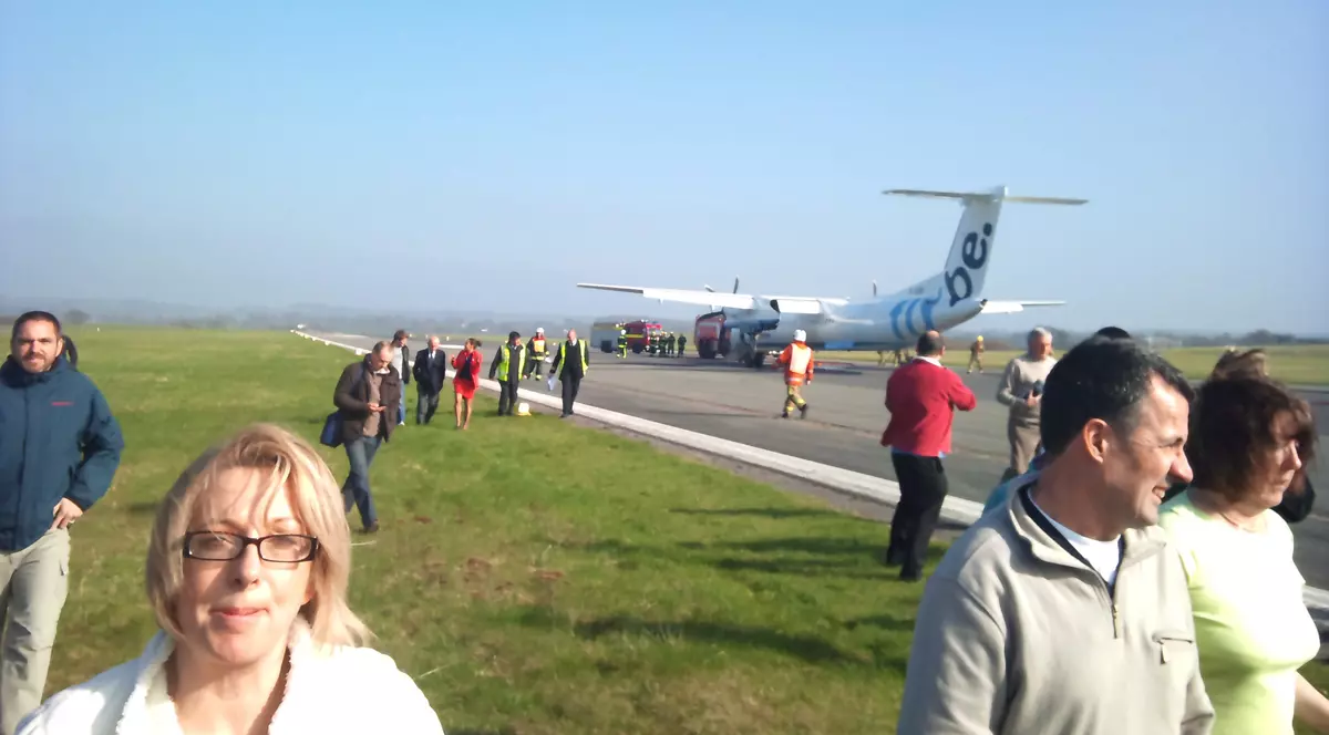 Un avion a aterizat de urgență din cauza unei...albine