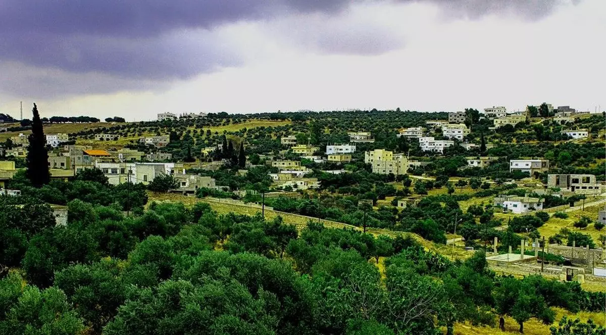 Irbid, orașul vinului