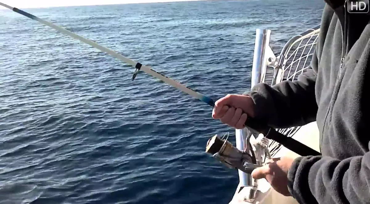 Descoperire în Marea Neagră! Un pește a reapărut după 30 de ani