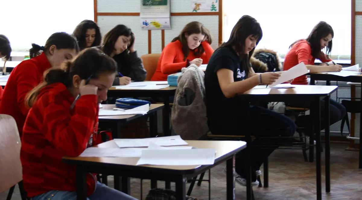 Subiecte Evaluarea Naţională 2015. Elevilor le-a picat basmul