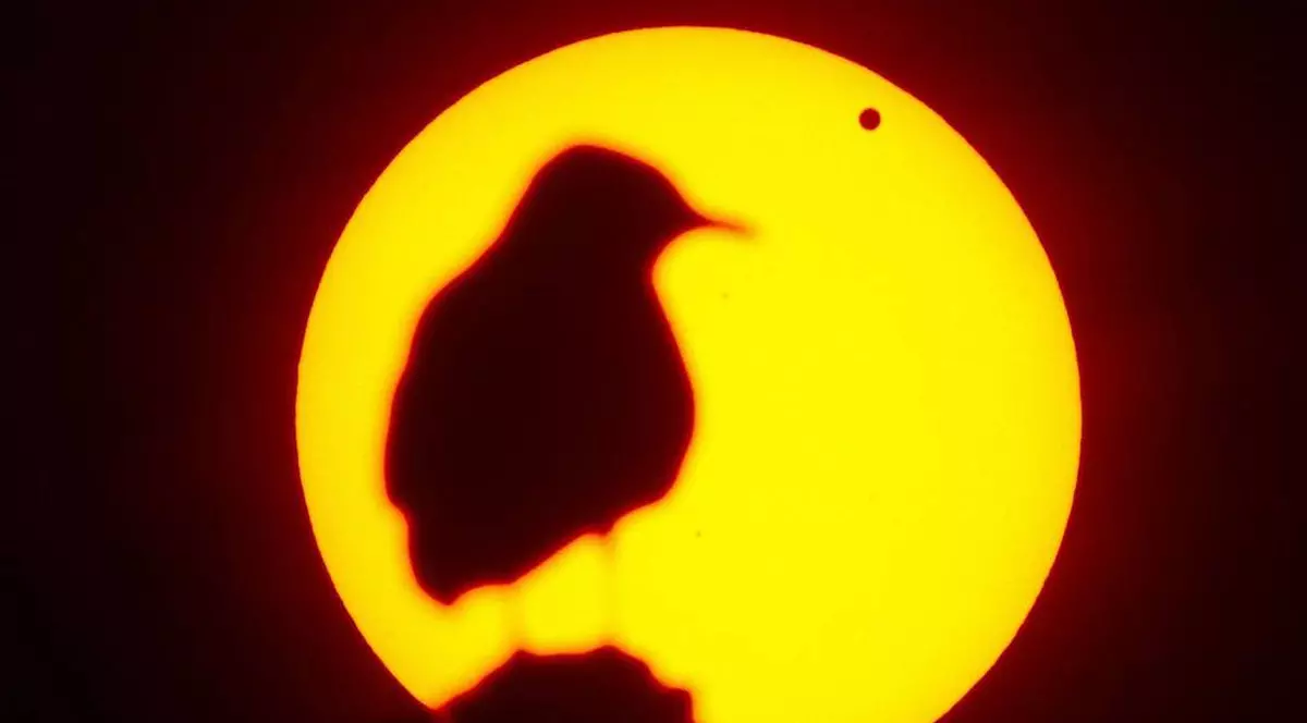 Solstiţiul de vară 2016. Pe ce dată pică și ce spune tradiția