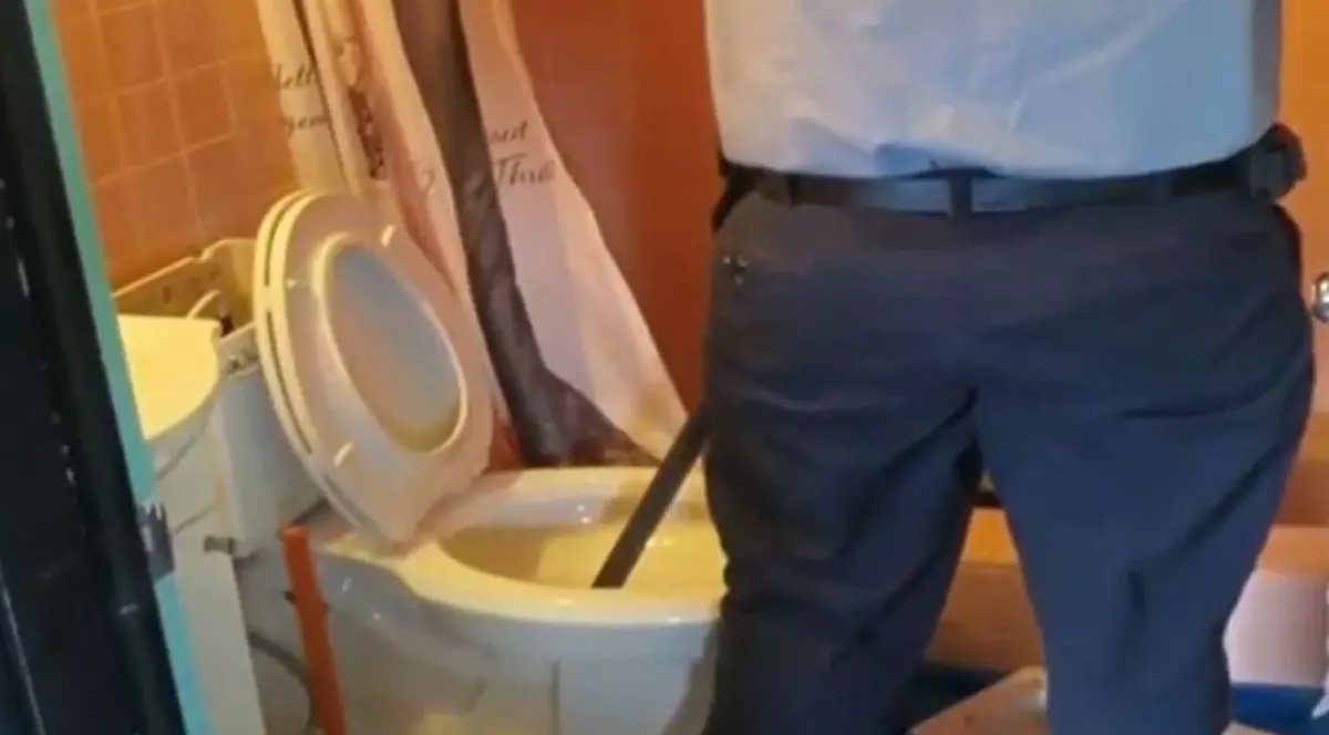 O adolescentă a crezut că a înfundat toaleta, însă a descoperit ceva şocant | VIDEO 