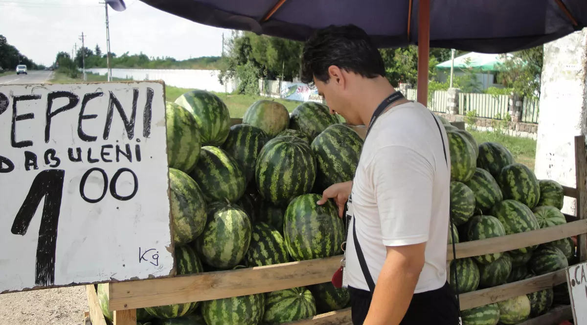 Cum încearcă comercianţii să vândă pepeni de Dăbuleni falşi. Primarul din Dăbuleni face dezvăluiri