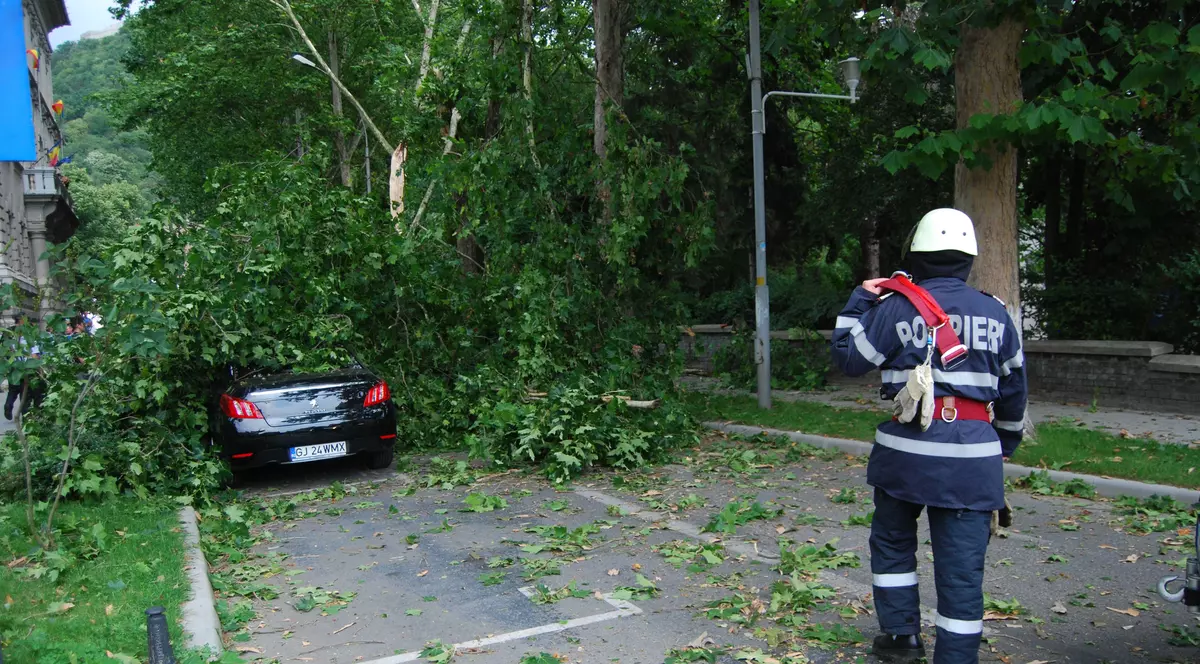 Un muncitor a murit strivit de un buștean