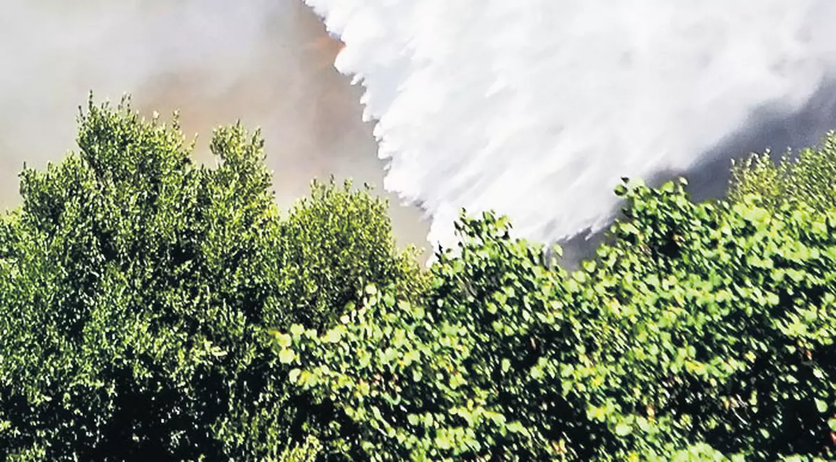 Proba de foc | Grecii se confruntă cu noi probleme: incendii de vegetaţie