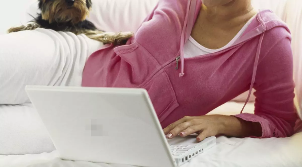 Amenzi pentru stăpânii ai căror câini latră noaptea