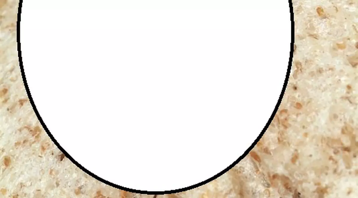 Ei reușesc să supraviețuiască săptămâni întregi FĂRĂ CAP. Doar că... mor de foame!