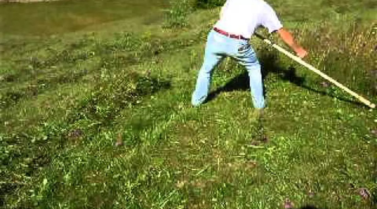 Un țăran riscă pușcăria pentru că a furat...fân din curtea vecinei!