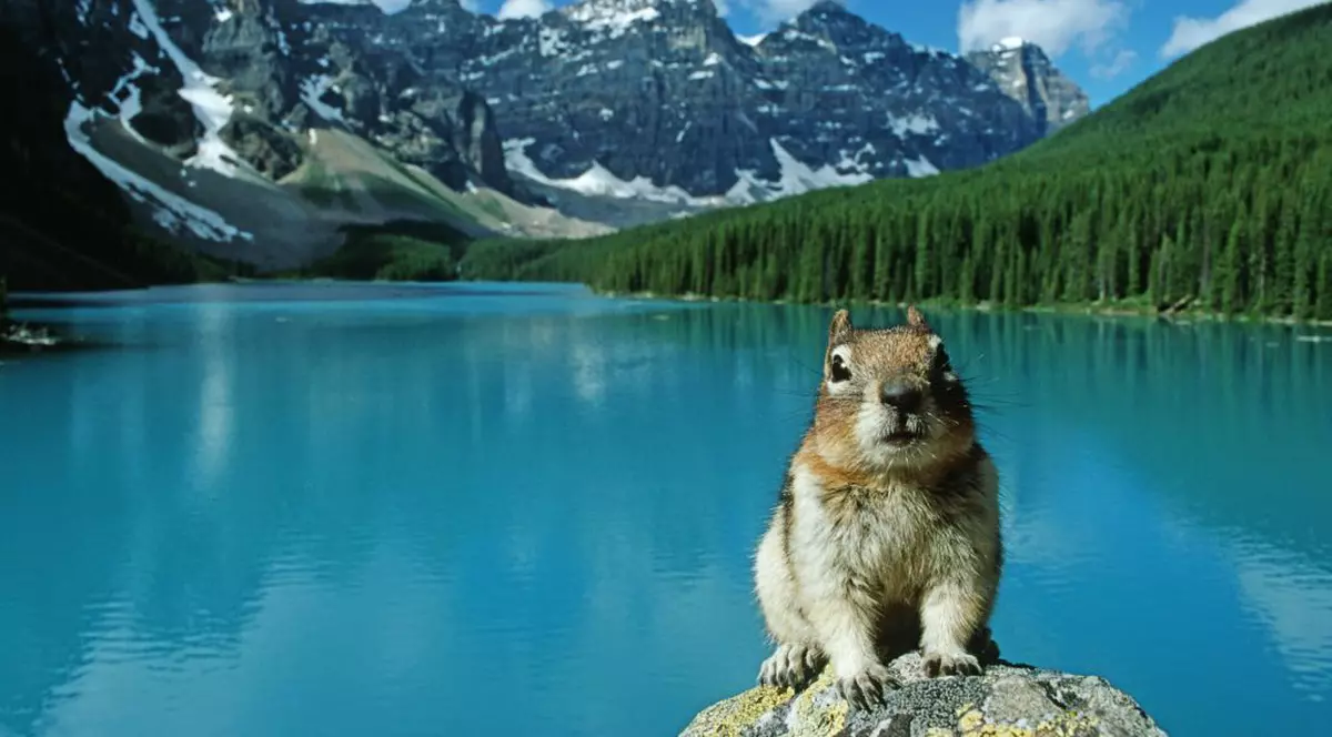 Top 10 cele mai apreciate destinaţii de vacanţă! Ce ţară are cea mai bună reputaţie în rândul turiştilor 