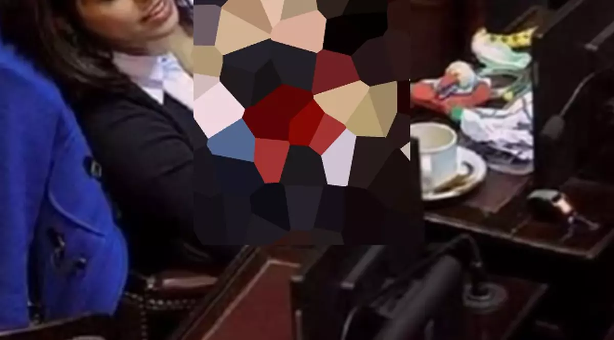 O politiciană celebră ȘI-A ALĂPTAT COPILUL, în Parlament, în timpul unei ședințe. Ce reacții a provocat | VIDEO