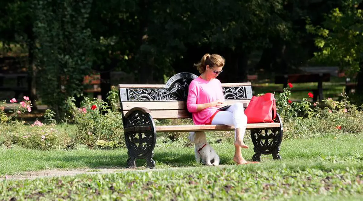 Cum va fi vremea în week-end