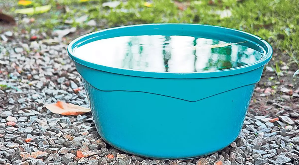 Baie în lighean, în Baia Sprie