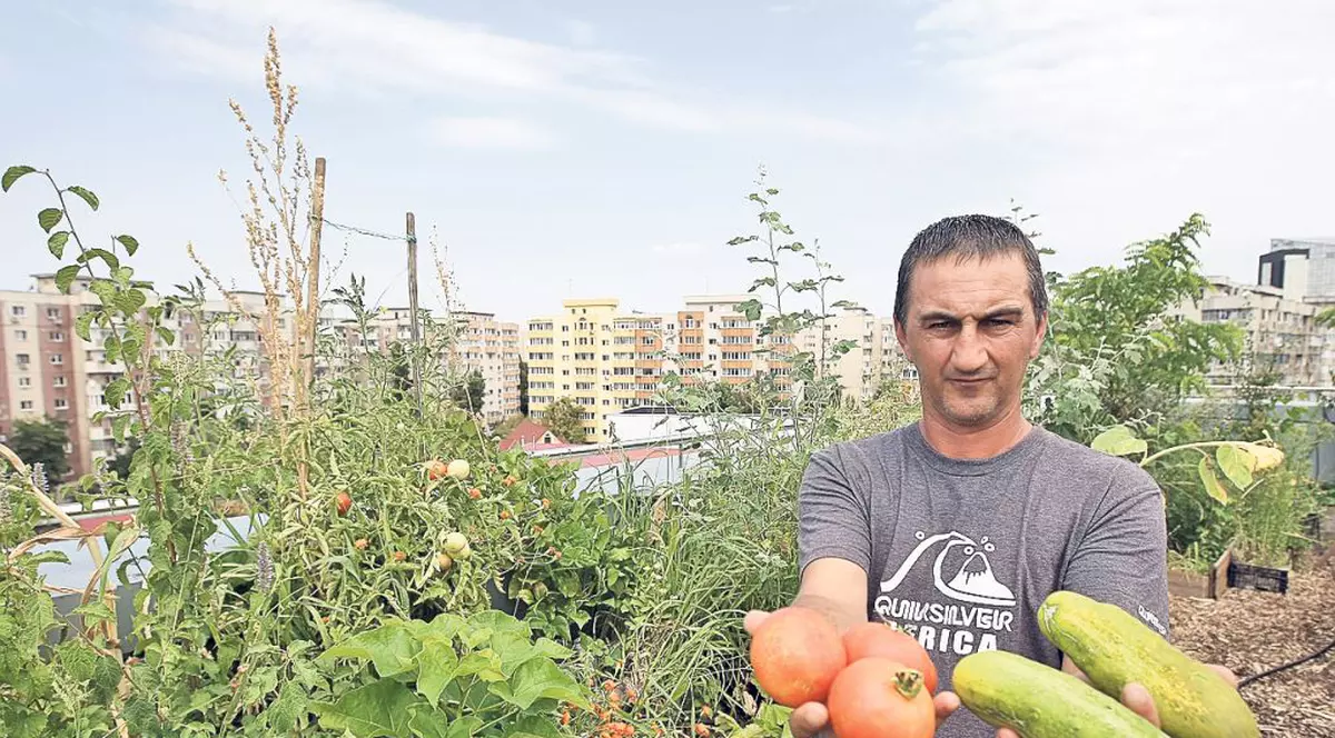 Cultivă legume pe acoperiş