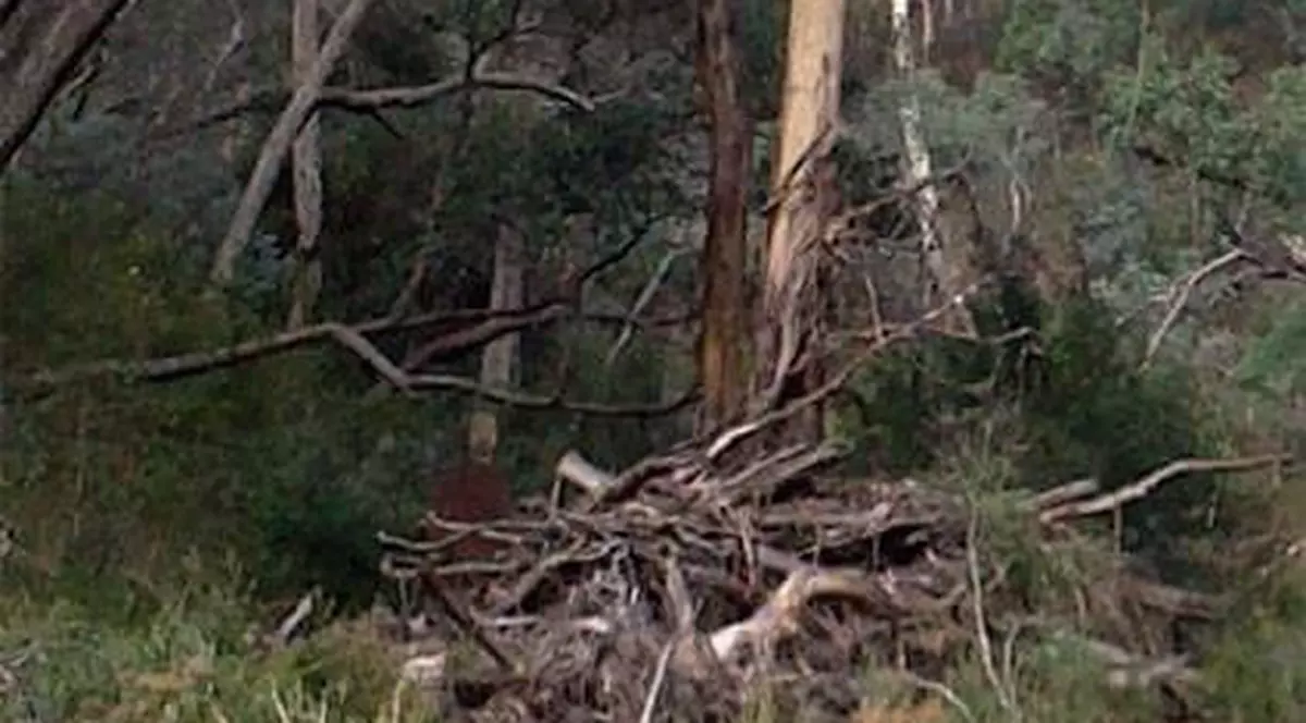 A fotografiat o fantomă la ”groapa sinucigașilor” | FOTO