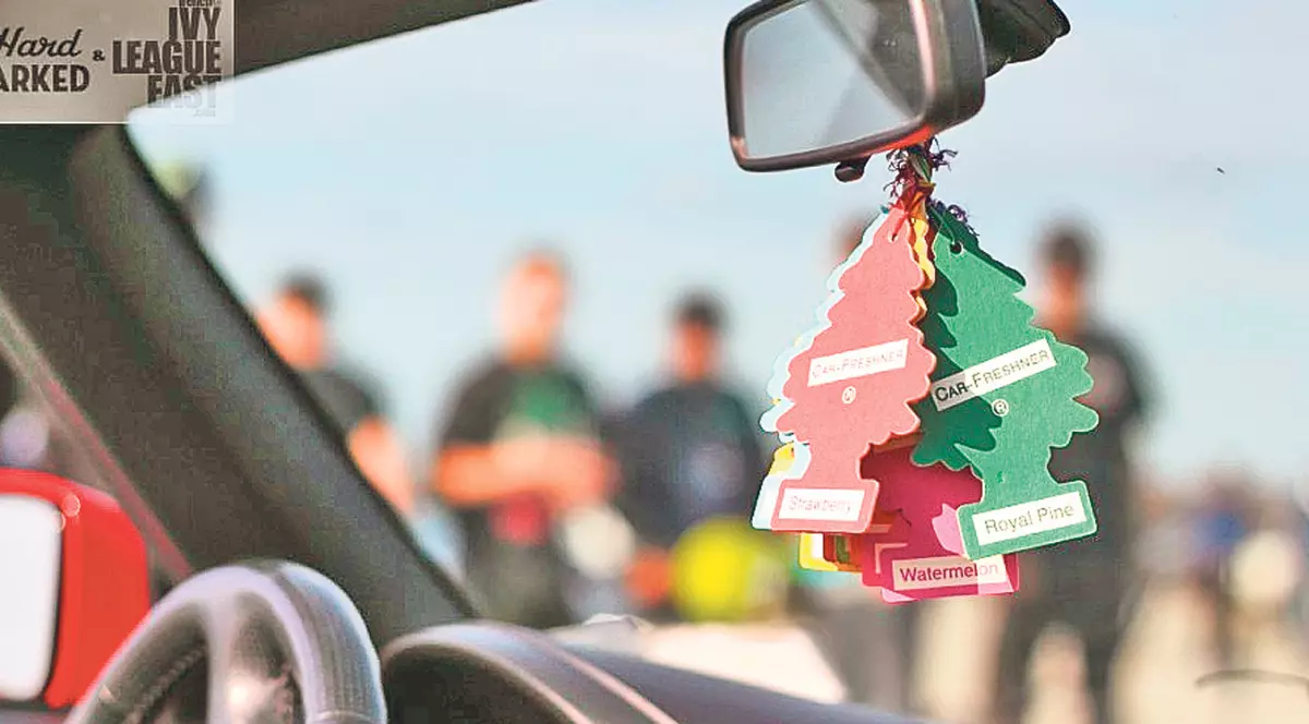 Odorizantele de maşină, un pericol mortal!