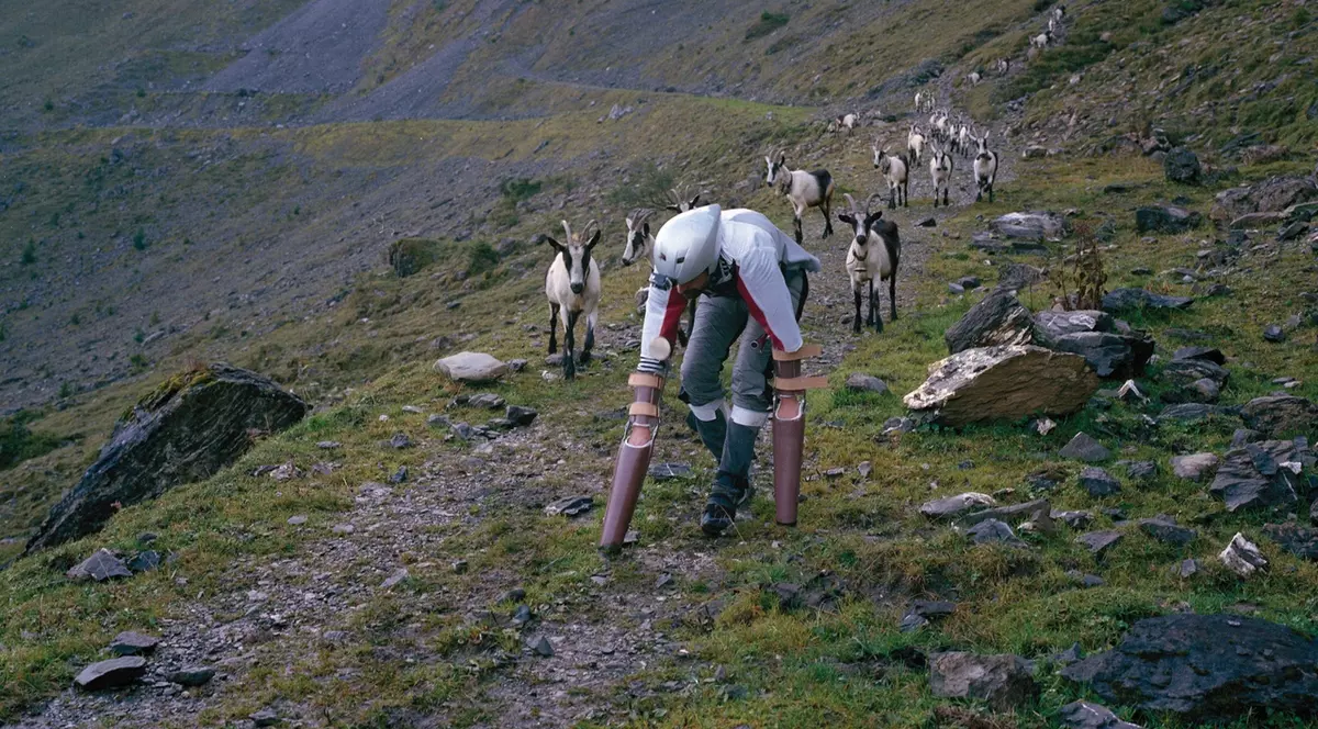 Experiment bizar. Un bărbat a trăit 3 zile ca o capră, într-o turmă: "Cel mai greu mi-a fost să..."
