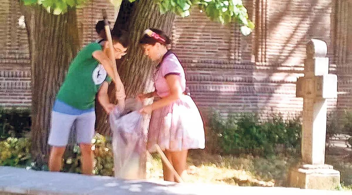 EXCLUSIV | Rona Hartner, la coada măturii