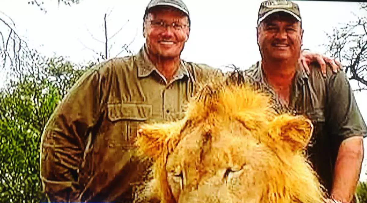 Gluma care i-a indignat pe iubitorii animalelor. Unde l-au găsit internauții pe răposatul leu Cecil