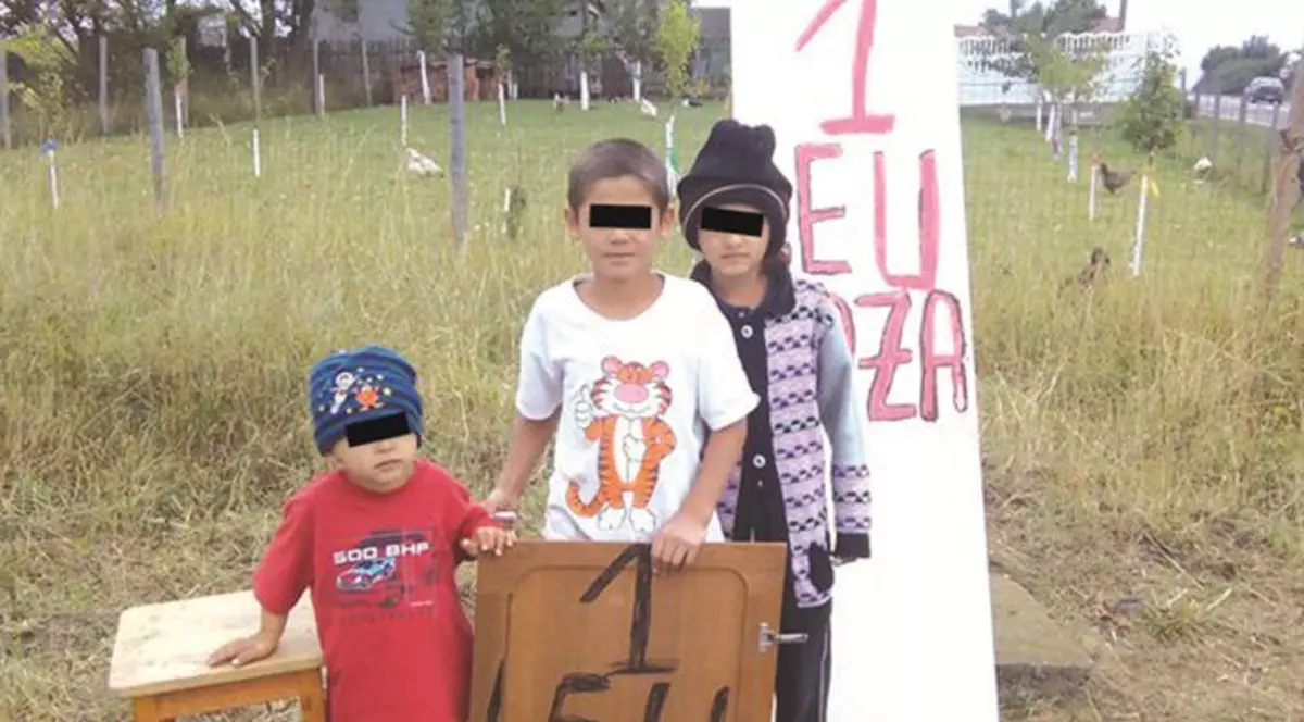 Faceți poze cu măgărușul! Trei frați au luat 10 la lecția de antreprenoriat în vacanța de vară